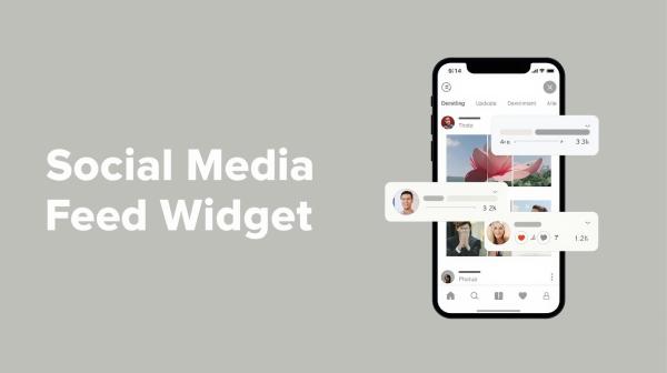 social media feed widget