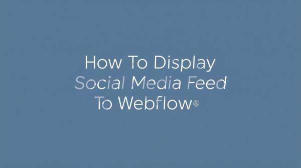 display social media feed to webflow